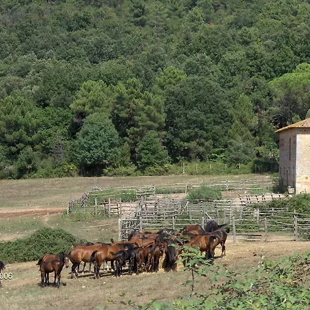 Podere Secchieta * Paganico (Grosseto)